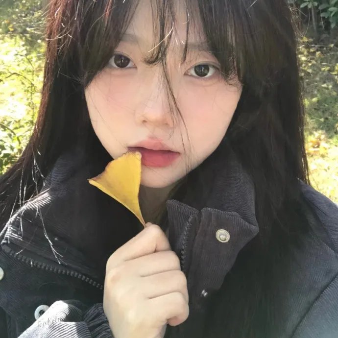 欢迎回到三达里